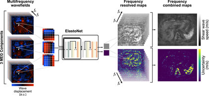 Das Bild zeigt eine schematische Darstellung des ElastoNet-Systems zur Analyse von multifrequenziellen Wellenfeldern. Links befinden sich Diagramme mit Wellenverschiebungen, während rechts Frequenzkarten angezeigt werden. Es gibt separate Bereiche für Scherwellen und Unsicherheitskarten, um verschiedene Aspekte der Daten zu visualisieren.
