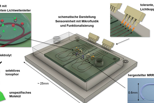 Schematic representation of the sensor unit with photonic chips into which the laser light is coupled and decoupled. Each chip contains four functionalized micro-ring resonators (MRR). The transparent block represents the microfluidic system with an inlet and outlet for sample delivery.