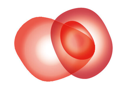 Die Abbildung zeigt mehrere überlappende, rote und orangefarbene Formen, die weiche Übergänge aufweisen. Die Formen erzeugen ein Gefühl von Bewegung und Dynamik, wobei der zentrale Bereich heller erscheint. Das Gesamtbild vermittelt eine harmonische und fließende Ästhetik.