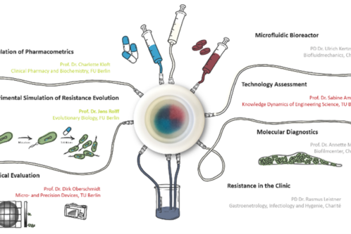 Das Bild zeigt ein zentrales Mikrofluidik-Gerät, von dem mehrere Rohre zu verschiedenen Bereichen führen: Simulation der Pharmakometrie, evolutionäre Resistenzen, optische Auswertung, Technologiebewertung, molekulare Diagnostik und Resistenzen in der Klinik. Es beschreibt verschiedene Forschungsbereiche und beteiligte Wissenschaftler.