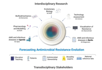 Das Bild zeigt eine schematische Darstellung von interdisziplinärer Forschung zur Vorhersage der Entwicklung antibakterieller Resistenzen. In der Mitte befindet sich eine schematische Darstellung eines Kulturmediums, umgeben von Icons, die verschiedene Forschungsbereiche symbolisieren, darunter Medikamente und statistische Analysen.