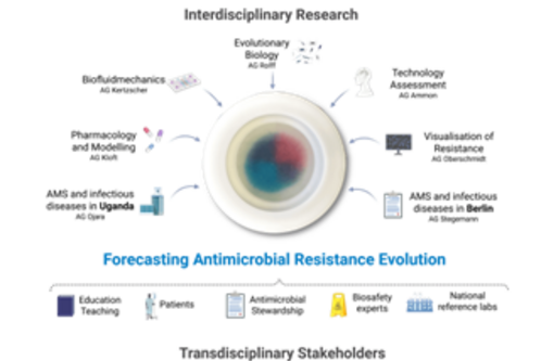 Das Bild zeigt eine schematische Darstellung von interdisziplinärer Forschung zur Vorhersage der Entwicklung antibakterieller Resistenzen. In der Mitte befindet sich eine schematische Darstellung eines Kulturmediums, umgeben von Icons, die verschiedene Forschungsbereiche symbolisieren, darunter Medikamente und statistische Analysen.
