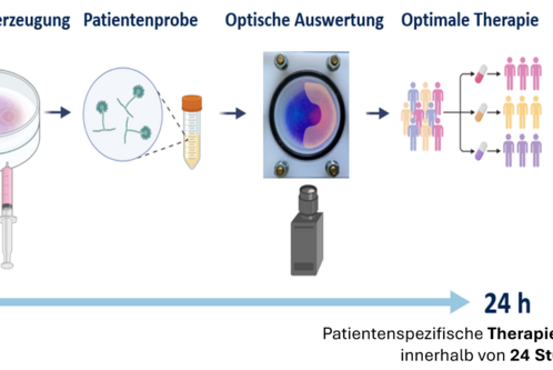 Illustration eines Prozesses zur Erstellung spezifischer Therapieempfehlungen. Schritte: Gradienten erzeugen, Patientenprobe analysieren, optische Auswertung durchführen, resultierendes Therapieschema. Zeitrahmen: Empfehlungen innerhalb von 24 Stunden.