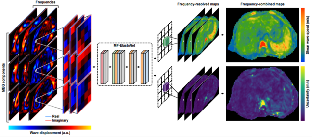 Das Bild zeigt verschiedene Frequenzkarten und ihre kombinierten Darstellungen zur Analyse von Wellenverschiebungen. Es enthält visuelle Darstellungen von realen und imaginären Frequenzen sowie mehrschichtige Karten, die die Frequenzdaten verdeutlichen. Die Farben repräsentieren unterschiedliche Amplituden in Bezug auf die Wellenverschiebung.