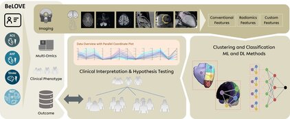 Die Grafik zeigt den Forschungsprozess im Projekt BeLOVE, der bildgebende Verfahren, klinische Interpretation und Hypothesentests umfasst. Außerdem sind Methoden zur Clusterung und Klassifizierung mithilfe maschinellen Lernens dargestellt, um klinische Ergebnisse zu analysieren und zu interpretieren.