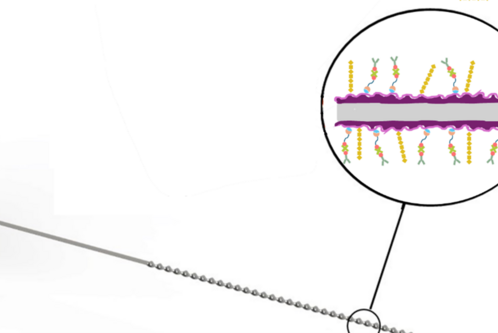 Eine gelbe Spritze mit einer Nadel, die in eine angenehme gewundene Linie übergeht. Im hervorgehobenen Bereich wird eine schematische Darstellung einer Zellmembran gezeigt, die verschiedene Moleküle und Strukturen darstellt, um die Interaktion und Funktion der Membran zu verdeutlichen.