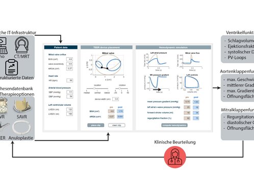 Das Diagramm zeigt die klinische Infrastruktur und Datenanalyse zur Bewertung von Herzfunktionen. Es beinhaltet Hauptkomponenten wie Ventricularfunktion, Aortenklappen- und Mitralkappenfunktion sowie deren relevante Parameter. Am unteren Ende wird die klinische Beurteilung visualisiert, die auf diesen Analysen basiert.