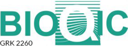 Das Bild zeigt das Logo von BIOQC. Der Schriftzug "BIOQC" ist in grüner Schrift dargestellt, wobei das "Q" kreativ gestaltet ist. Darunter steht "GRK 2260". Das Design enthält horizontale Linien, die das Logo umgeben.