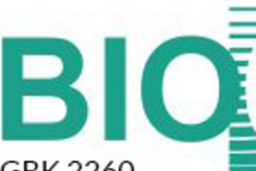 Das Bild zeigt das Logo von BIOQC. Der Schriftzug "BIOQC" ist in grüner Schrift dargestellt, wobei das "Q" kreativ gestaltet ist. Darunter steht "GRK 2260". Das Design enthält horizontale Linien, die das Logo umgeben.