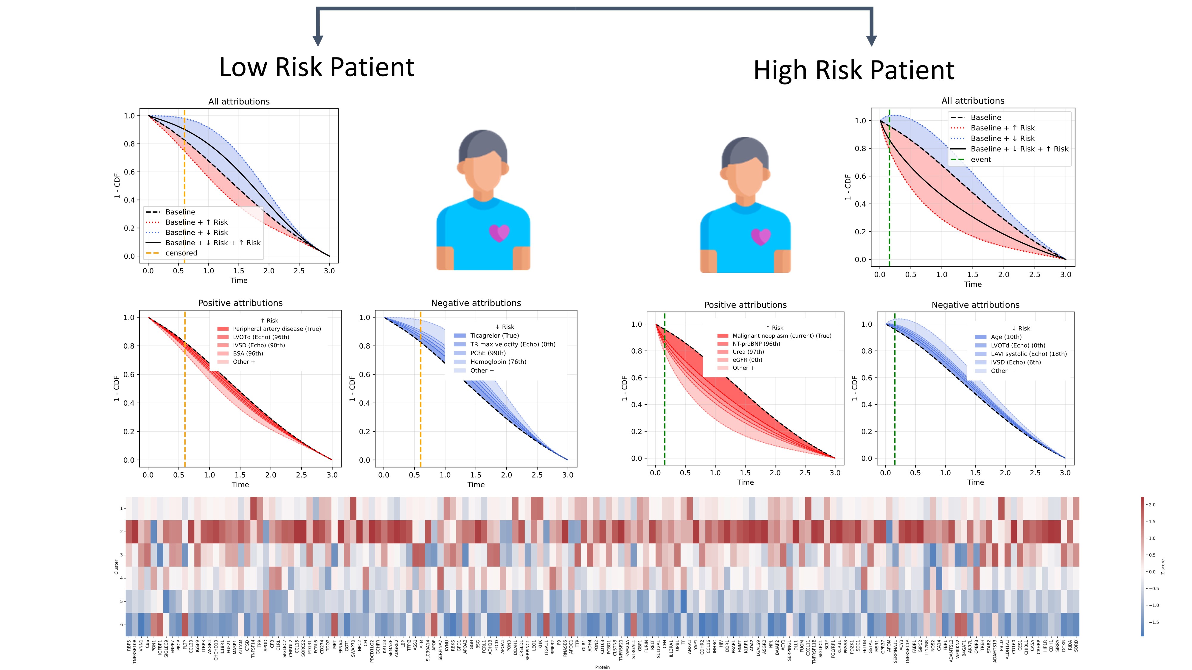 Die Grafik vergleicht einen Patienten mit niedrigem Risiko und einen Patienten mit hohem Risiko. Oben sind Kurven dargestellt, die positive und negative Attribute zeigen. Unten ist eine Matrix mit verschiedenen Attributen in rot- und blaufarbenen Balken zu sehen.