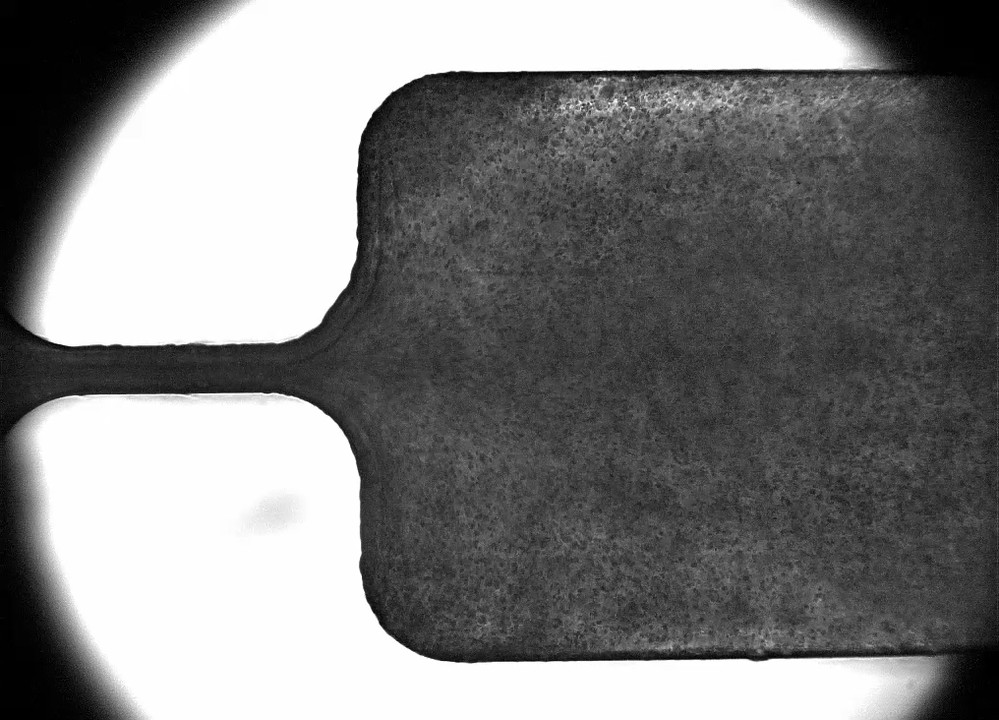 Das Bild zeigt eine stark vergrößerte und kontrastreiche Darstellung eines metallischen Objekts mit einer rechteckigen Form und einem schmalen Ansatz. Die Oberfläche ist rau und hat eine matte Textur, während der Hintergrund hell und unscharf ist.